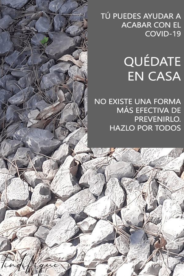Quédate en casa para que pronto podamos volver a la normalidad. Que no se pierdan vidas inocentes. Que los médicos puedan volver a abrazar a sus hijos. Que podamos decir que unidos vencimos la prueba más grande de la historia. No es mucho lo que se te pide: solo quédate en casa. Comparte con tus amigos.